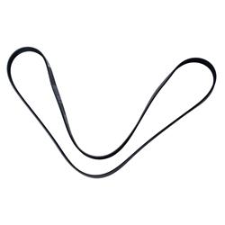 Motorcraft Accessory Belts LX6Z8620B