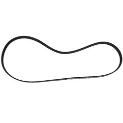 Motorcraft Accessory Belts for 2021-2024 F-150 - ML3Z8620B