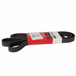 Motorcraft Accessory Belts 9C2Z8620C