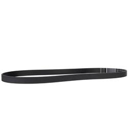 Motorcraft Accessory Belts for 2011-2019 EXPLORER, 2014-2019 POLICE INTERCEPTOR UTILITY - GB5Z8620B