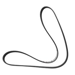 Motorcraft Accessory Belts LC4Z8620A