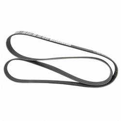 Motorcraft Accessory Belts for 2020-2023 AVIATOR - L1MZ8620E