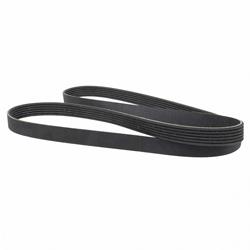 Motorcraft Accessory Belts for 2020-2023 AVIATOR - L1MZ8620E