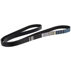 Motorcraft Accessory Belts for 2024 MUSTANG - PR3Z8620C
