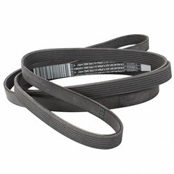 Motorcraft Accessory Belts CK4Z8620A