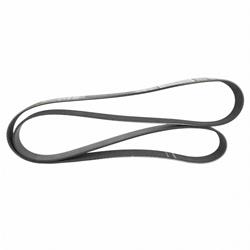 Motorcraft Accessory Belts for 2020-2022 MUSTANG - KR3Z8620A