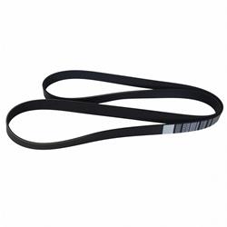 Motorcraft Accessory Belts AC3Z8620B