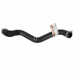 Motorcraft Radiator Hoses for 2012-2018 FOCUS - CV6Z8260K