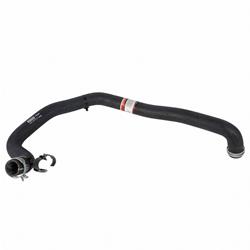 Motorcraft Radiator Hoses for 2014-2017 FIESTA - C1BZ8286B