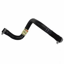 Motorcraft Radiator Hoses for 2015-2018 FOCUS - CV6Z8260X