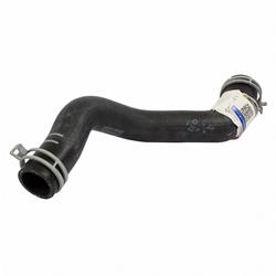Motorcraft Radiator Hoses for 2016-2018 FOCUS - F1FZ8286K