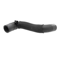 Motorcraft Radiator Hoses for 2021-2024 BRONCO SPORT, 2023-2024 MAVERICK - LX6Z8286W