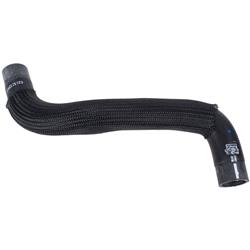 Motorcraft Radiator Hoses for 2023-2024 ESCAPE - PZ1Z8260D