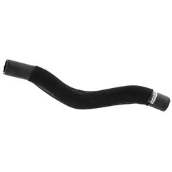 Motorcraft Radiator Hoses for 2024 MUSTANG - PB5Z8597B