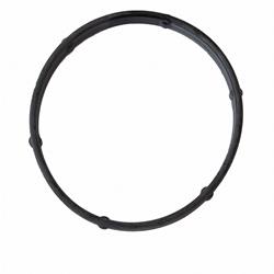 Motorcraft Water Neck and Thermostat Housing Seals for 2000-2006 LS, 2002-2005 THUNDERBIRD - XW4Z8255CA