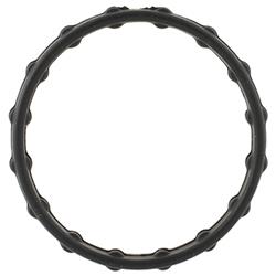 Motorcraft Water Neck Gaskets and O-Rings PV4Z8255A
