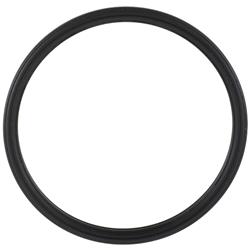 Motorcraft Water Neck Gaskets and O-Rings P2GZ8255A