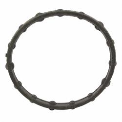 Motorcraft Water Neck Gaskets and O-Rings 2L2Z8590A