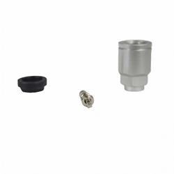 Motorcraft Tire Pressure Monitoring Replacement Sensor Valves 2L2Z1565AA