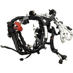 Motorcraft Battery Cables, Direct Fit R1MZ14300E