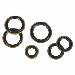 Motorcraft Air Conditioning Replacement O-Rings and Seals DR3Z19B596A