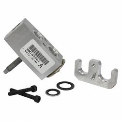 Motorcraft Air Conditioning Expansion Valves for 2018-2024 EXPEDITION, NAVIGATOR - JL1Z19849BA