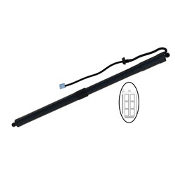 Monroe Max-Lift Support Shocks for 2019-2024 RAV4, 2021-2024 RAV4 PRIME - 300685