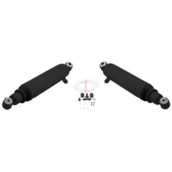 Monroe Max Air Shock Absorbers for 1985-1996 F-150, 1980-1996 F-250 - MA771