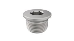 Mopar Replacement Engine Expansion Plugs 04884892AA