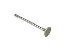 Mopar Replacement Valves 04892094AB