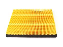 Mopar Replacement Air Filter Elements 05019002AA