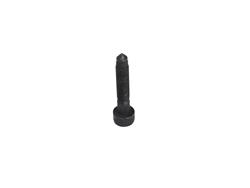 Mopar Replacement - Bolts and Screws for 2021 2500 - 06513288AA