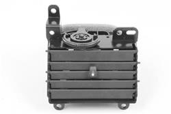 Mopar Replacement Dash Inserts 1AV57BDAAB