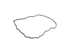 Mopar Replacement Valve Cover Gaskets 53021842AA