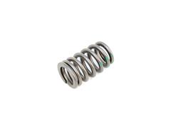 Mopar Replacement Valve Springs 53021887AA