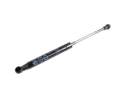 Mopar Replacement Lift Supports for 2012-2019 500 - 68087099AA