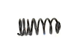Mopar Replacement Coil Springs for 2014-2017 2500 - 68091216AA