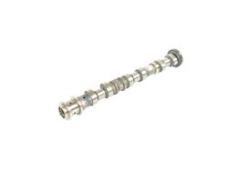 Mopar Replacement Camshafts 68169840AB