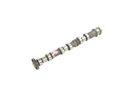 Mopar Replacement Camshafts 68169841AB