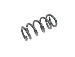 Mopar Replacement Coil Springs 68231026AB