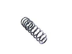 Mopar Replacement Coil Springs 68262678AC