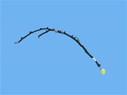 Mopar Replacement Wiring Harnesses 68270521AA
