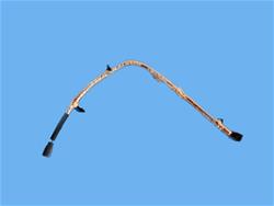 Mopar Replacement Wiring Harnesses for 2016 4500, 5500 - 68284596AA