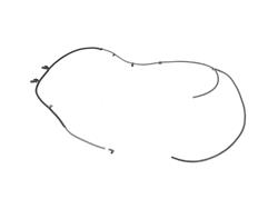 Mopar Replacement - Windshield Washer Hoses for 2016-2018 500X - 68285294AA