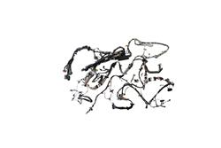 Mopar Replacement Wiring Harnesses for 2017 GRAND CARAVAN - 68289269AB