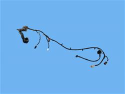 Mopar Replacement Wiring Harnesses for 2018 CHEROKEE - 68304364AD