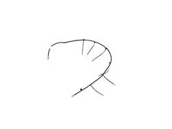 Mopar Replacement Antenna Cables 68307161AA