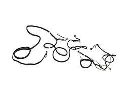 Mopar Replacement Wiring Harnesses for 2019-2020 PROMASTER 2500, PROMASTER 3500 - 68311818AE