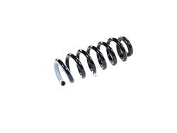Mopar Replacement Coil Springs 68320238AC