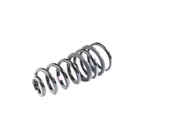 Mopar Replacement Coil Springs for 2021 2500 - 68349170AB